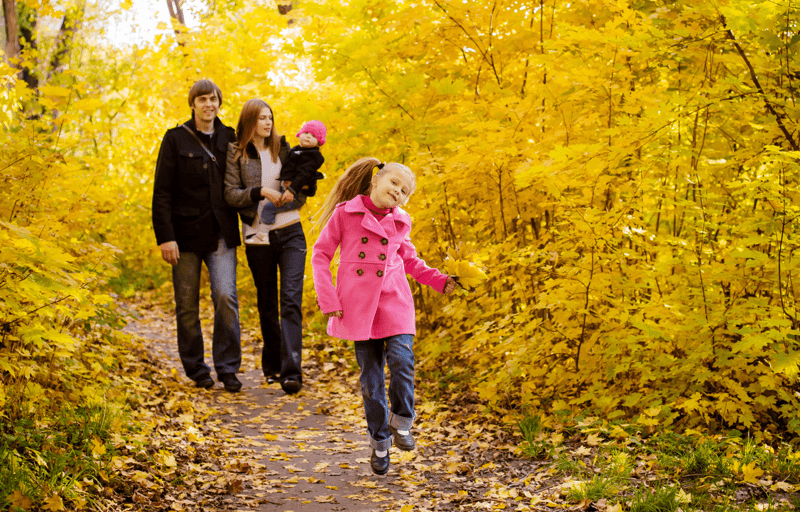 Thanksgiving Is Two Weeks Away - Are You Ready? Fall Walk Image